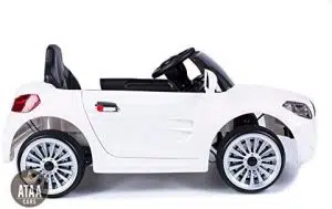 coche eléctrico